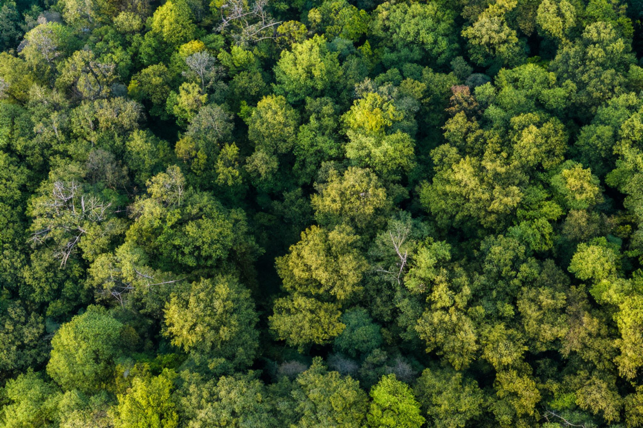 Duurzaamheid bij Akarton